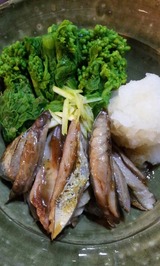 腹皮酢の物